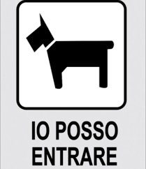 Animali di piccola taglia